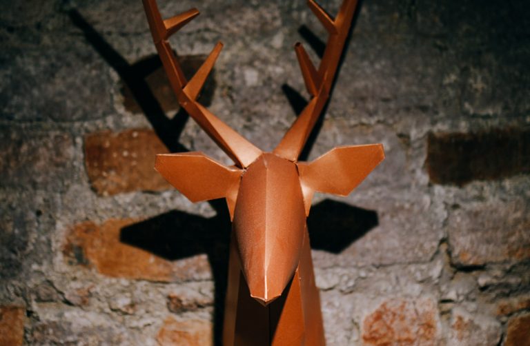 podkoziołek_mini_fot. Marcin Baliński_012